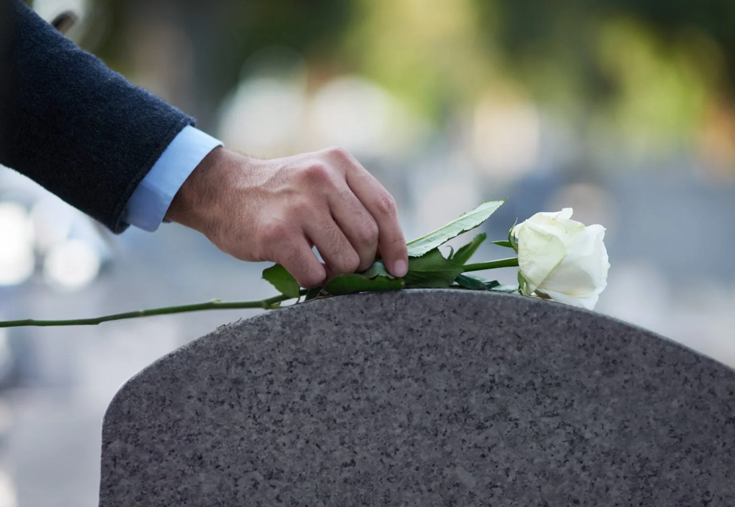 A flower is being laid on a tombstone by a loved one of the deceased.